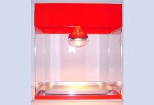 ホットショーケース