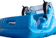 ドルフィンスライダー